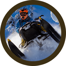 Snowmobiles