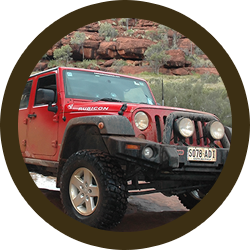 vehicles